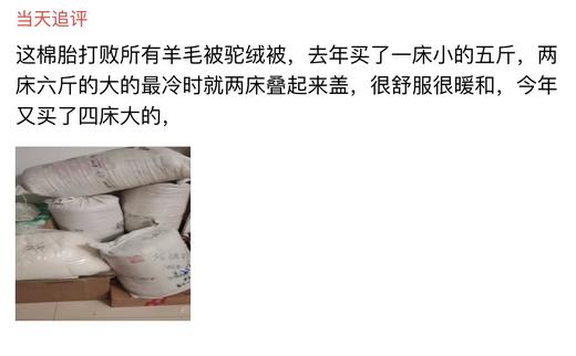 老种子生态棉花被、棉花、老种子 ||  新疆太阳大哥 商品图4