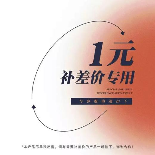 补差价专用链接! 商品图0