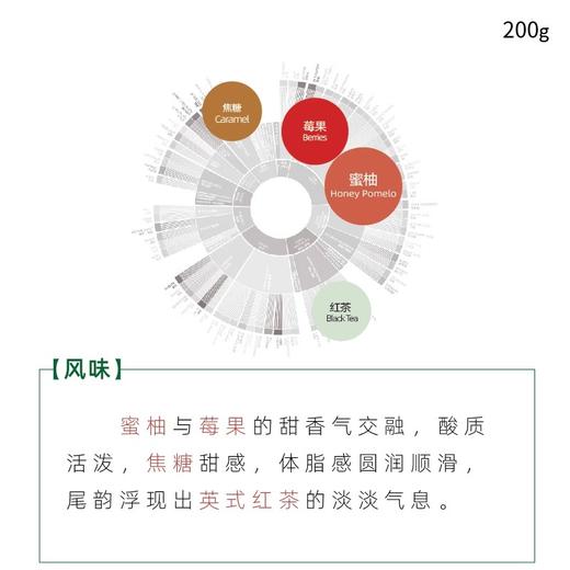 缅甸咖啡豆宾朗蜜柚手冲水洗浅焙精品新鲜烘焙 商品图1
