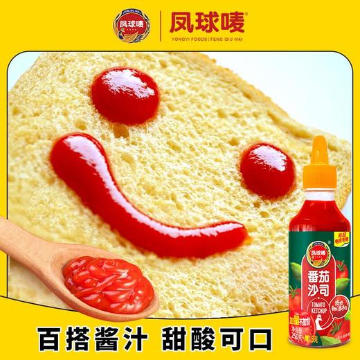 凤球唛番茄沙司250g 商品图2