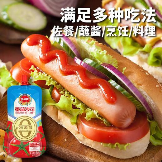 凤球唛0添加番茄沙司310g 商品图1