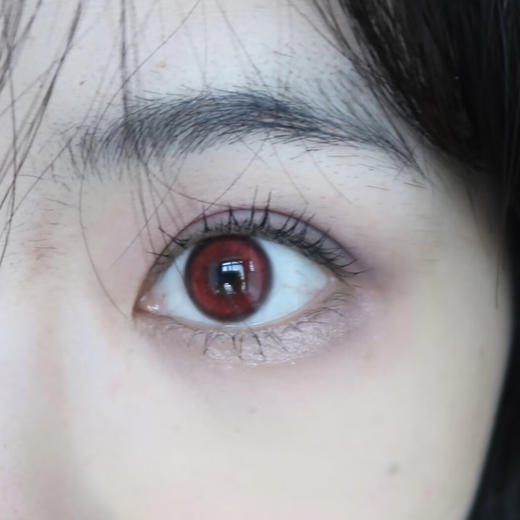 Summerbaby 樱桃栗子 日抛 两片 14.5mm 参考着色13.8mm 基弧8.5 含水40% 新锐国货 商品图1