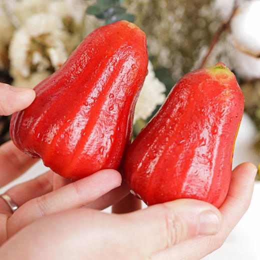 【鲜脆多汁】越南黑金刚莲雾 商品图7