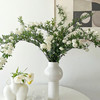 白色丨小手球花丨4-6支｜超多花苞【运输易掉嫩芽介意勿拍超长花材单独发货】 商品缩略图0