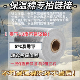 鲜花保温棉丨0°及零下建议拍保温棉丨保护花材恒温 （一层保温棉可保温1-3度，如气温太低多拍几层）【跟随订单发出】