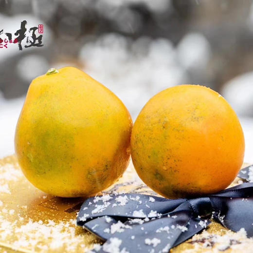 高端定制 匠心极“烫金”脆蜜金柑，巨无霸，纯甜无酸！皮薄而脆爽，无籽化渣，一口咬下，像一个个“小糖炮”，甜蜜的汁水留在舌尖，爆汁的爽脆让人惊喜！ 商品图3