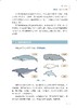 海洋科普图书2331《中国海洋濒危物种鲸豚类海龟类救护技术指南》 商品缩略图6