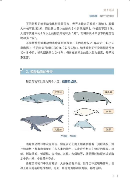 海洋科普图书2331《中国海洋濒危物种鲸豚类海龟类救护技术指南》 商品图6