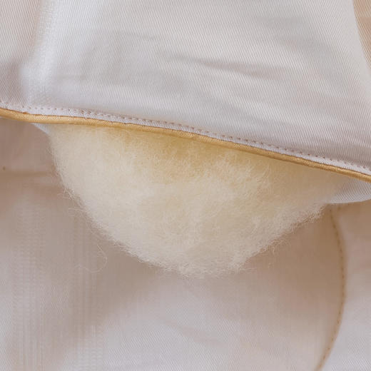 恒源祥豪华澳羊毛被1DK1002 商品图2