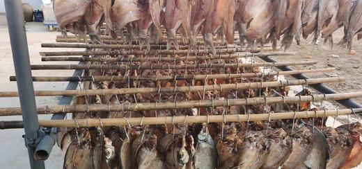 XFY风干鱼 商品图2