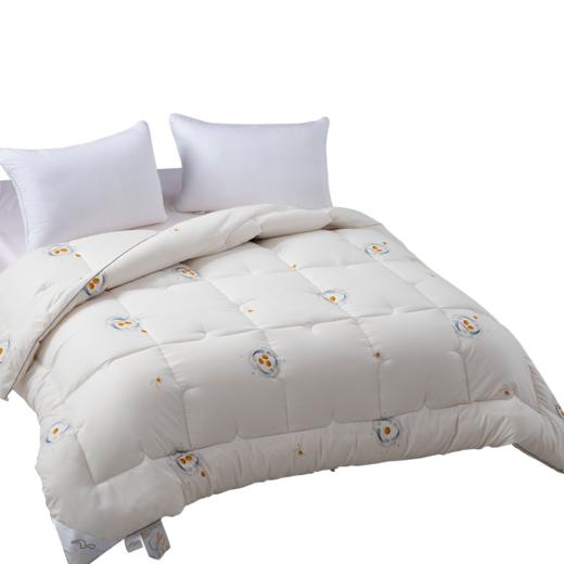 DH云端舒享大豆被 商品图0