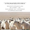 羊绒系列-【男款羊绒保暖裤】100%阿尔巴斯山羊绒5个颜色可选 常规款和加厚款 无缝保暖裤 商品缩略图3