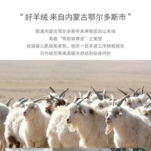 羊绒系列-【男款羊绒保暖裤】100%阿尔巴斯山羊绒5个颜色可选 常规款和加厚款 无缝保暖裤 商品图3
