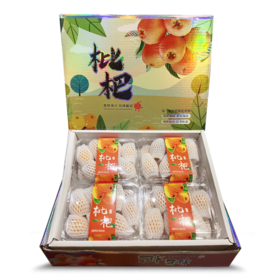 精品枇杷  |水果