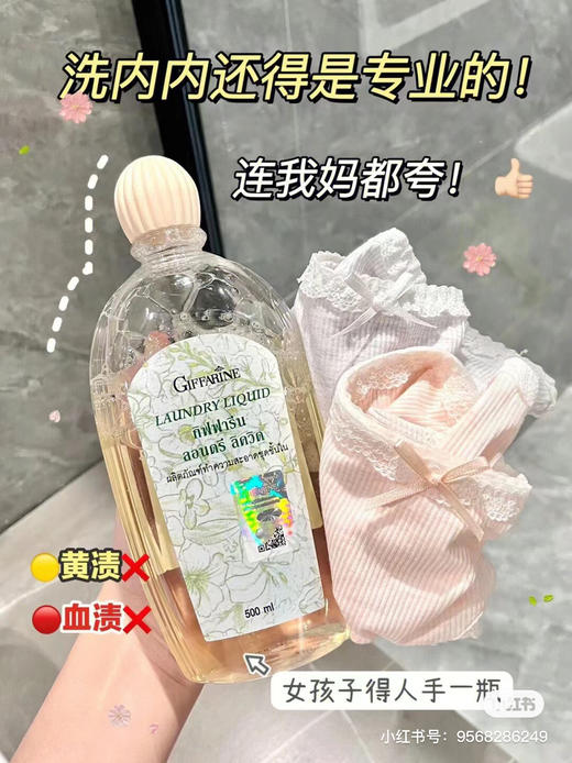 正品泰国芝芙莲，500ml内衣内裤婴幼儿成人贴身衣裤洗衣液 商品图6