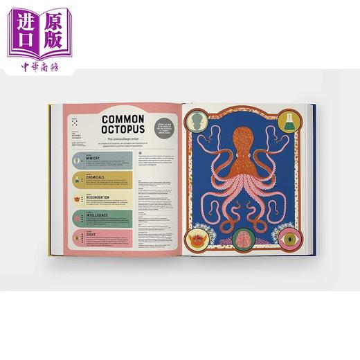 【中商原版】超级动物大发现Superpowered Animals 英文原版 儿童科普绘本 动物知识百科图书 精装精品绘本 进口儿童科学读物 商品图3