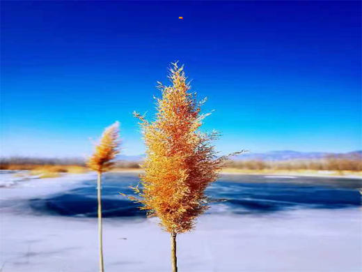 【妫水河踏冰1日】｜千里冰封の行走在京郊贝加尔湖-休闲8公里徒步【中午出发看日落】 商品图2