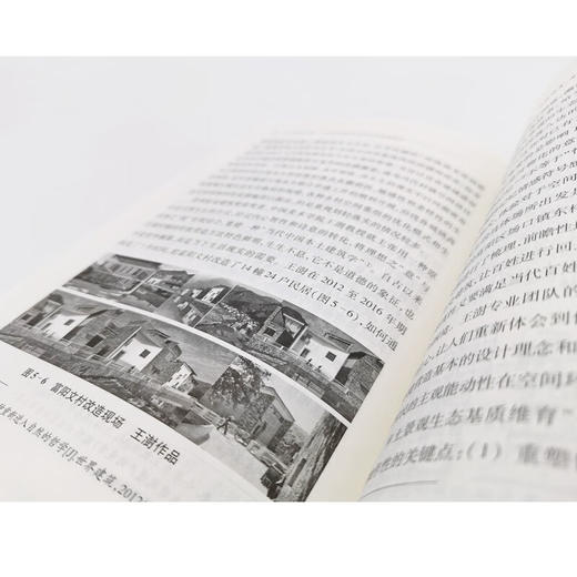 从乡愁到乡建：江南村镇的文化记忆与景观设计 商品图5