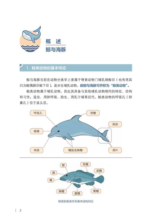 海洋科普图书2331《中国海洋濒危物种鲸豚类海龟类救护技术指南》 商品图5