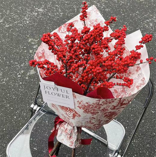 年宵花--冬青 商品图0