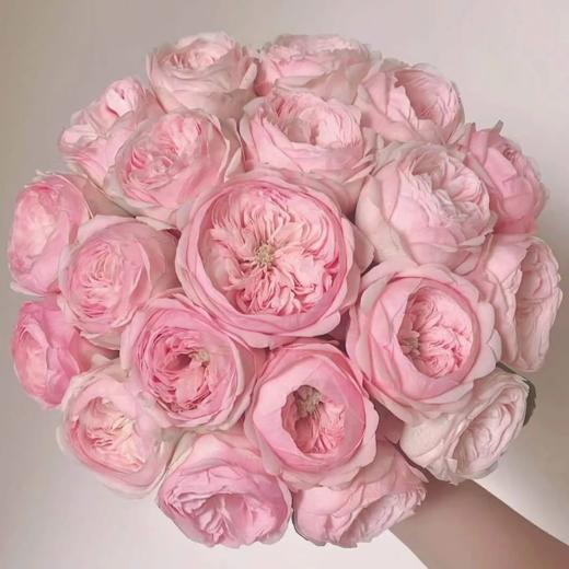 多头玫瑰 酷皮  10支/扎  粉色玫瑰 云南基地发货 （价格已包含包装费用） 运费以实际为准，多退少补。 商品图0