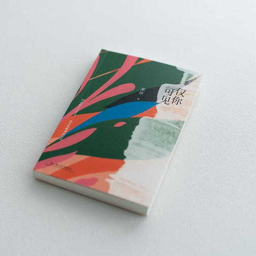 仅你可见 巫昂 著 散文 商品图2