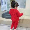 裁缝学苑TS23女童加绒加厚棉服两件套装纸样儿童绗棉连帽棉袄版型 商品缩略图3