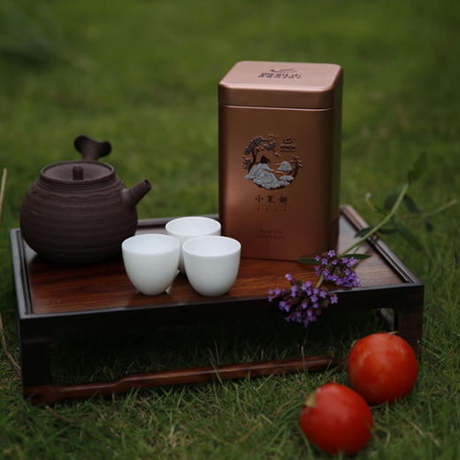 【小茉妍】茉莉红茶/华南农业大学茶学系陈文品教授作品/清花甜韵/醇厚甘润/60g/罐 商品图3