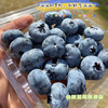 怡颗莓限量版18+蓝莓 商品缩略图3