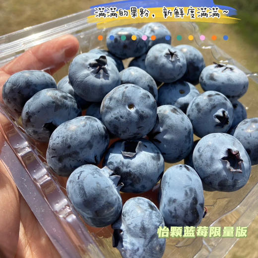怡颗莓限量版18+蓝莓 商品图3