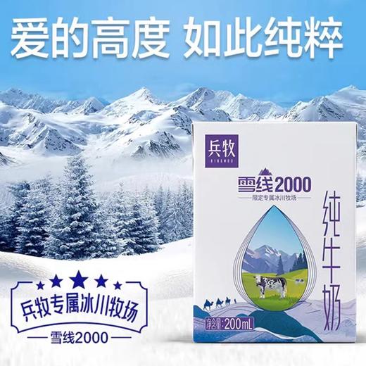 兵牧雪线纯牛奶200ml*10/提 商品图1