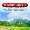 庄民 如意桃胶礼盒 12罐装 富含桃胶360g 心意好礼 年礼必备 商品缩略图4