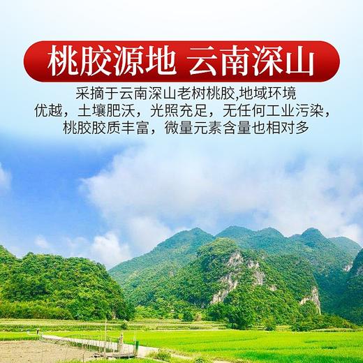 庄民 如意桃胶礼盒 12罐装 富含桃胶360g 心意好礼 年礼必备 商品图4