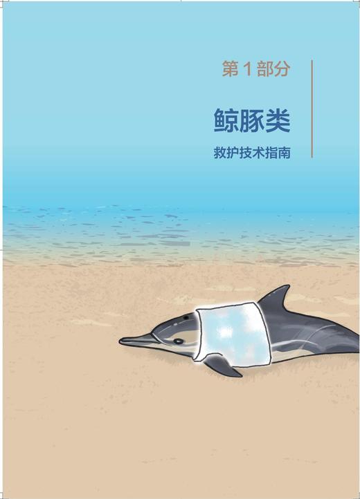 海洋科普图书2331《中国海洋濒危物种鲸豚类海龟类救护技术指南》 商品图4