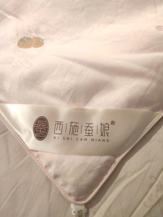 西施蚕娘双宫茧桑蚕丝3A/5/8A500g 商品图6