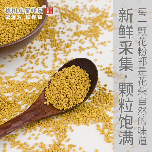 青藏高原油菜花粉210g  采自3500米青藏高原  高活性营养更出众 商品图1