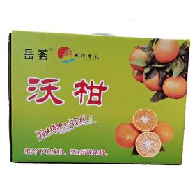 【到店自提】佛冈龙山岳荟沃柑10斤  新鲜水果