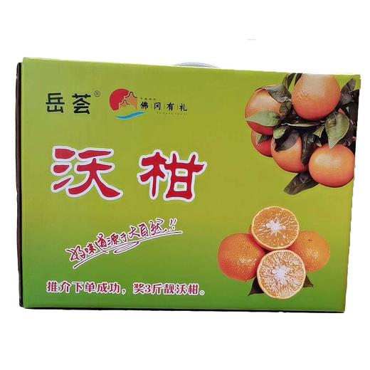 快递款 佛冈龙山沃柑10斤  新鲜水果 广东省包邮 商品图0