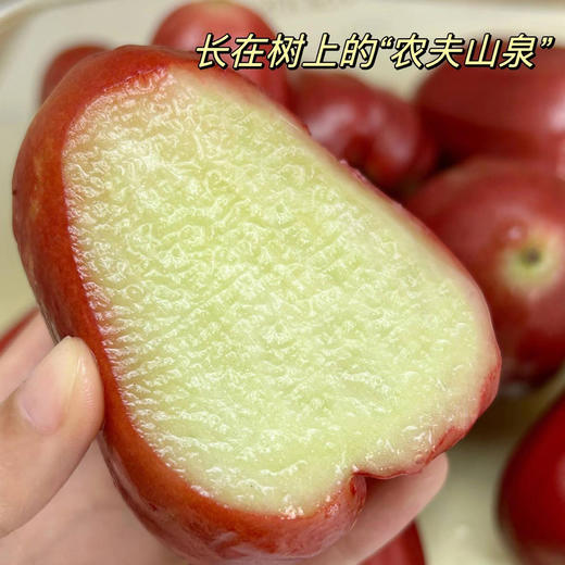 【鲜脆多汁】越南黑金刚莲雾 商品图2