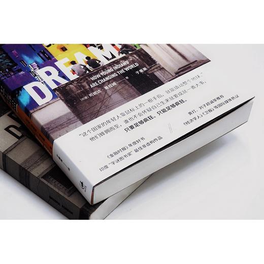 印度青年狂想曲（印度）司妮达·普拉姆 著 商品图9