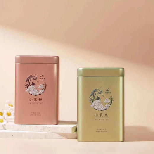 【小茉儿】茉莉生普/华南农业大学茶学系陈文品教授作品/香气清雅/滋味甘润/60g/罐 商品图1