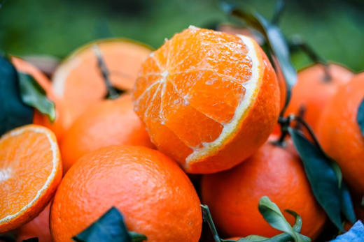 福建/四川红美人｜爆汁香甜 商品图1