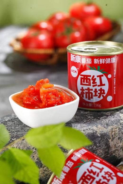 新康有机西红柿块新疆自然成熟无添加 超长日照营养丰富 富含番茄红素 商品图6