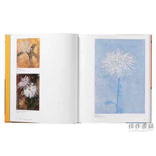 Hilma af Klint and Piet Mondrian: Forms of Life / 希尔玛·阿夫·克林特和蒙德里安:生命的形式 商品图4