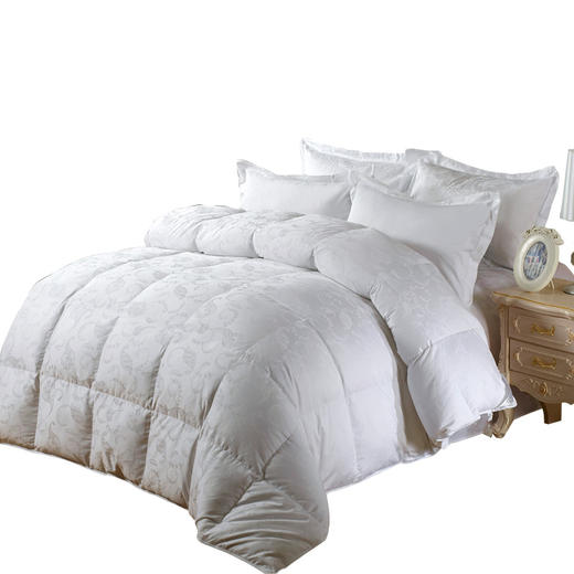 恒源祥羽绒被高档羽绒被1DG3215C 商品图0