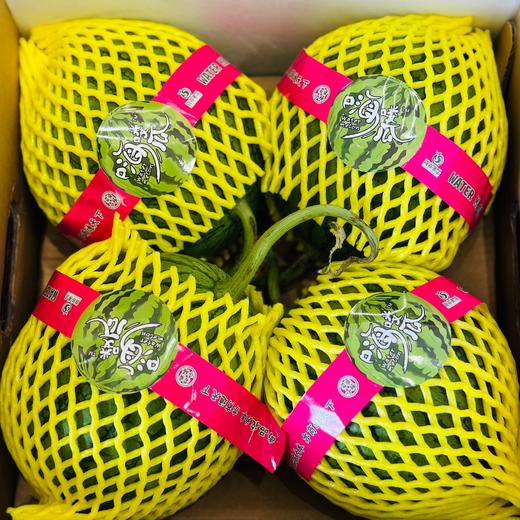 冰淇淋西瓜（只） 商品图2