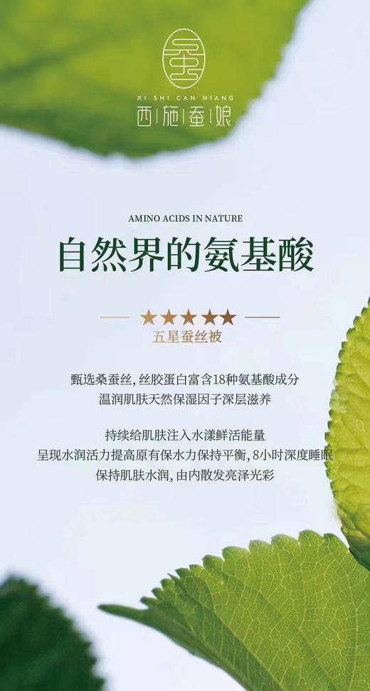 西施蚕娘双宫茧桑蚕丝3A/5/8A500g 商品图5