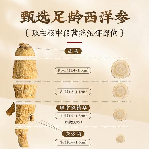 庄民 如意礼盒 12罐装 西洋参石斛黑枸杞拼配礼盒 220g 心意好礼 年礼必备 商品图2