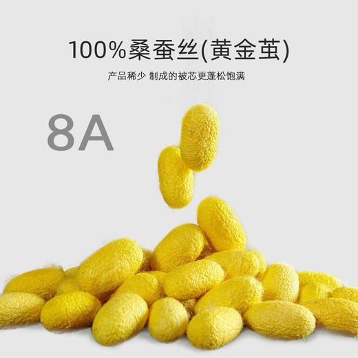 西施蚕娘双宫茧蚕丝长丝3A/5A/8A级纯蚕丝不含被壳 商品图4