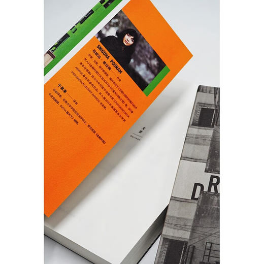 印度青年狂想曲（印度）司妮达·普拉姆 著 商品图8